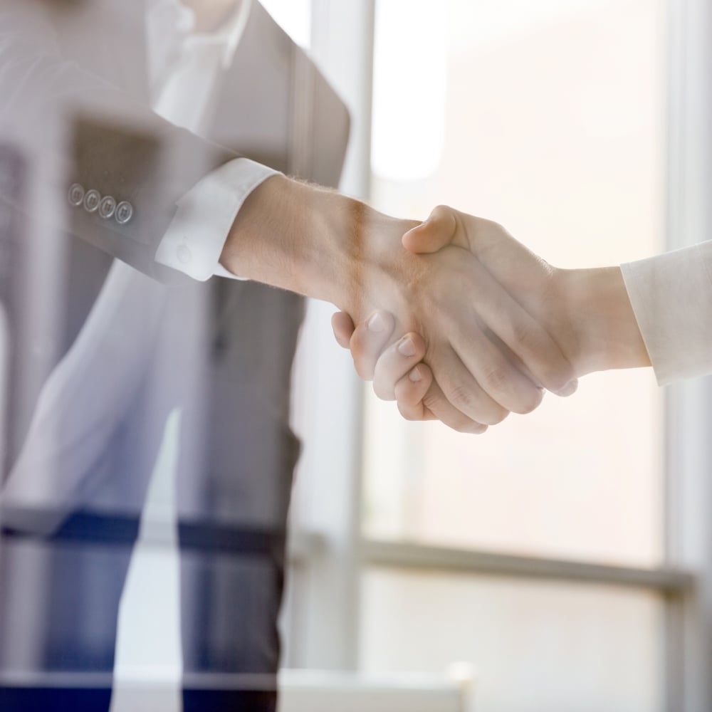Business professionals shaking hands in office setting